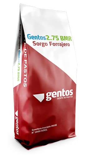 GENTOS   2.75 BMR