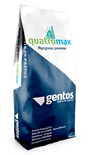 Gentos-Gramineas-Ryegrass-Perenne-Quatro-Max