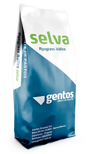 Gentos-Gramineas-Ryegrass-anual-Selva
