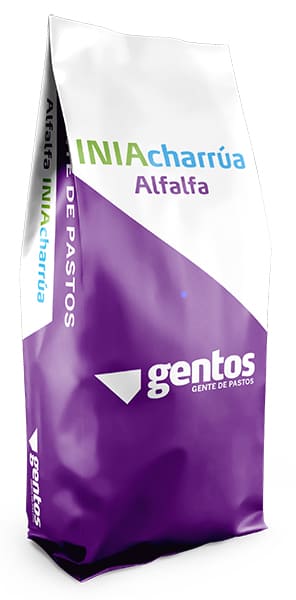 Gentos-INIA-Charrua-Alfalfa-Graminea