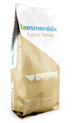 Gentos-Leguminosas-Lotus-Tenuis-La-Esmeralda Gentos-Leguminosas-Lotus-Tenuis-La-Esmeralda
