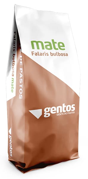 Gentos-Mate-Falaris-Gramineas
