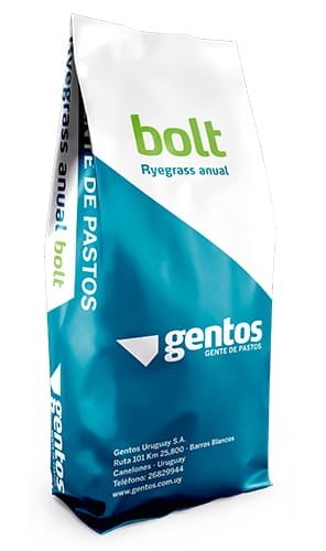 Gentos-gramineas-ryegrass-Bolt