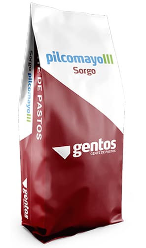 PILCOMAYO III