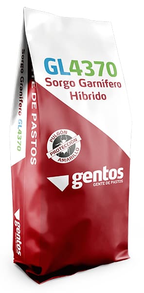 Gentos GL 4370 Tolerante a pulgón