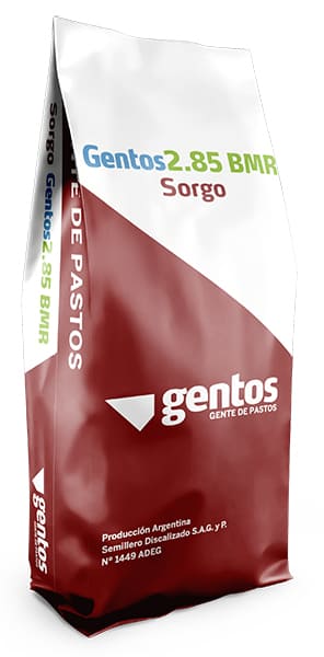SORGO-SILERO-GRANIFERO-G2.85-BMR-UY SORGO-SILERO-GRANIFERO-G2.85-BMR-UY
